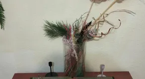 Piso - Image 4