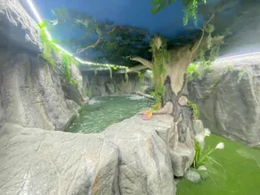 Futurotel Space Spa Garden - Image 5