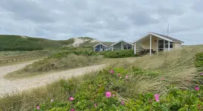 Dancamps Holmsland - Image 5