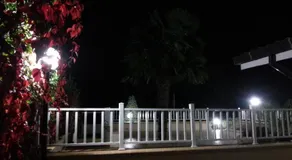 B&B Joy - Image 5