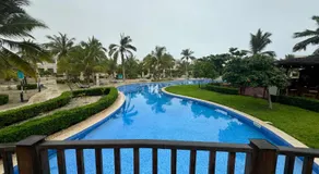 Mimosa - Image 3
