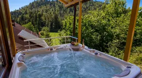Greenhouse Klara with heated pool - Image 5