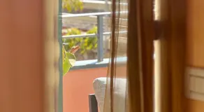 Acqua di Mare - Guest House - Image 4