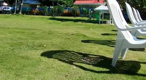 Aloha - Image 5