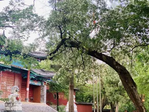 Jingzhi Jinye Hotel - Image 5