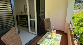 Jungle Rooms - Image 2