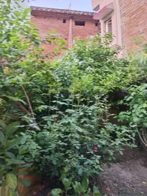 Sandhya Guest House - Image 3
