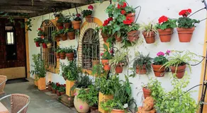 Casona Granado - Image 5