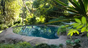 Treehouse River Lodge - Image 3