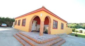ENTRE NARANJOS - Image 5