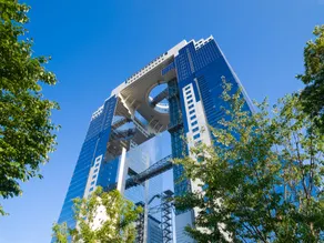 Broom stay UMEDA ROSE - Image 4