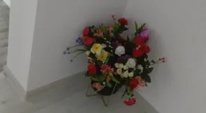 Casa Lucy - Image 5