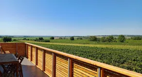 Vinařství U sv. Kříže - Image 3