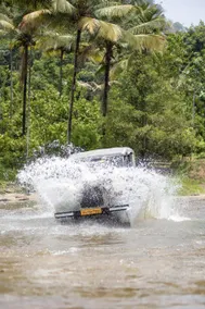 Karickanattu Nature Resort - Image 4