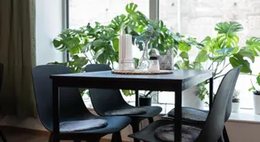Ahlgrens Hotell - Image 5