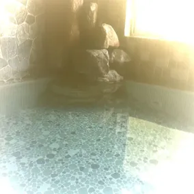 Mimata Onsen Ryokan Mikuniya - Image 3