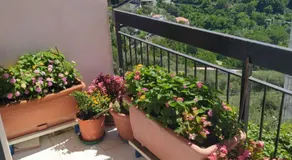 B&B ANTONIETTA - Image 4