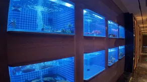 Better Joy Hotel Qing Yang - Image 5