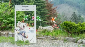 Hoengseong Withpet Village - Image 3