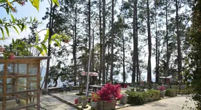 Deodar Homestay - Image 5