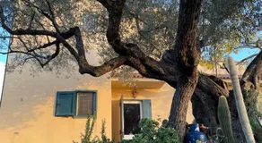 Villa "Il Giardino di Rocco" - Image 3
