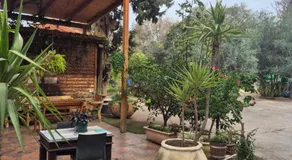 hotel vital - Image 4