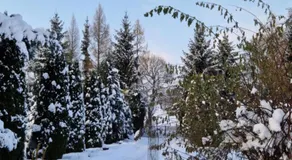Agroturystyka Nad Cichą - Image 5