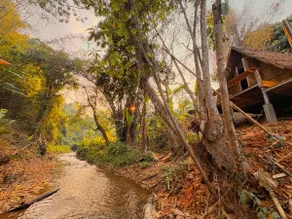 Scent of Forest | Riverside Bamboo Cabin - Image 4
