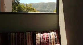 FINCA VERDE - Image 5