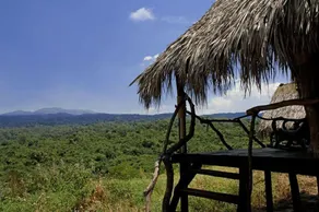 Crater Forest Tented Camp - Image 2