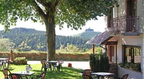 Logis Hotel & Restaurant - Les Vosges - Image 4