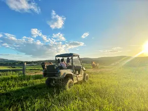 KUR-Cow farm escape 35 minutes from Cairns - Image 2