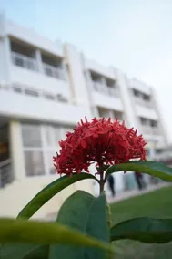 Swet Palash Resort - Image 5