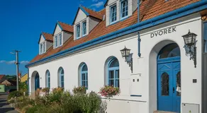 Naturální vinařství DVOREK - Penzion, Bistro & Wellness - Image 3