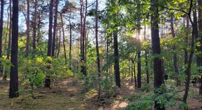 Apartament Walendów Park - Image 5