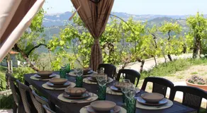 Quinta das Flores da Mãe - Image 3
