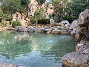 Longmai Hotspring Village - Image 5