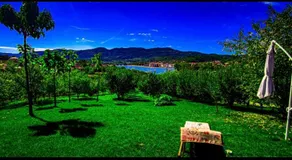 Upforest Guesthouse - Image 4