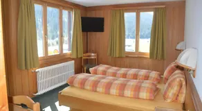 Hotel Seeblick - Image 2
