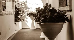 B&B Agorà - Image 3