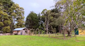 The Olive House Tasmania - Image 4