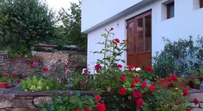 Fenix Rooms - Image 5