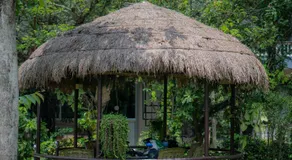 Hotel Monalisa Chitwan - Image 4