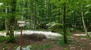 La Tana in Val Resia - Image 5