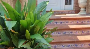 Valencia Casa Rosa - Image 3