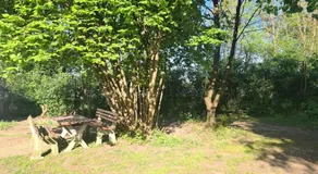 Quiet caravan in nature on Mur cycle path - Image 5