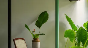 Ekam Retreat - One with Nature - Image 3