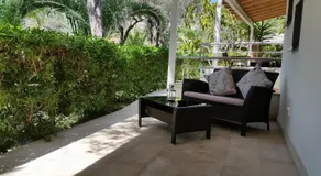 Soller Garden - Image 4