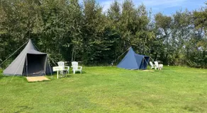 Duintentje - Image 4