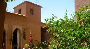 Kasbah ait Moussa - Image 5